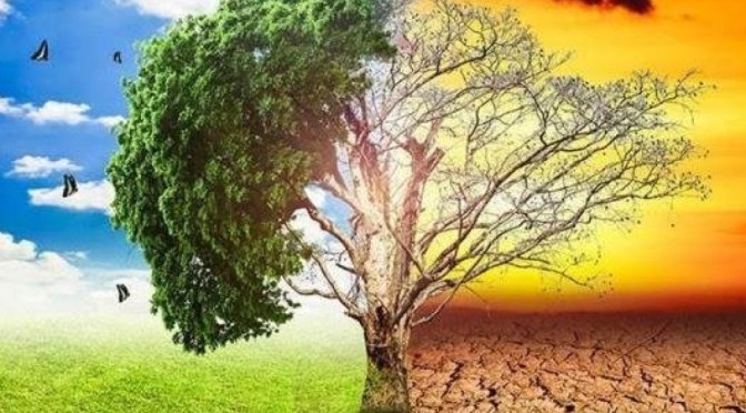 Cambio climático y cambio revolucionario (I), por Agustín Bagauda
